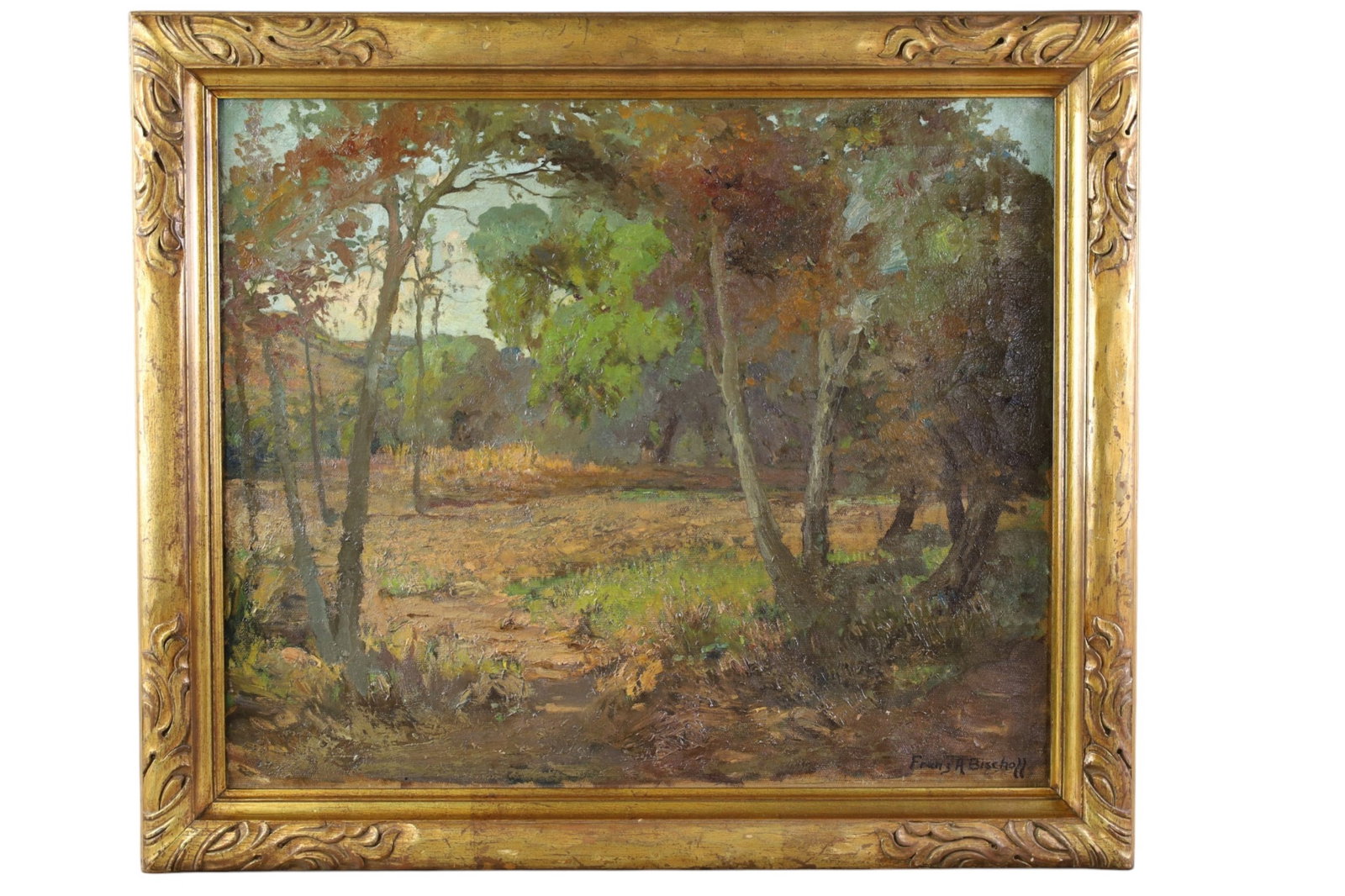FRANZ BISCHOFF LANDSCAPE OIL PAINTING: OIL ON CANVAS, TITLED LIGHTS AND SHADOWS. SIGNED LOWER RIGHT FRANZ BISCHOFF, LANDSCAPE OIL PAINTING. HAS BEEN CLEANED AND VARNISHED. 28 1/2" x 24 1/2"
