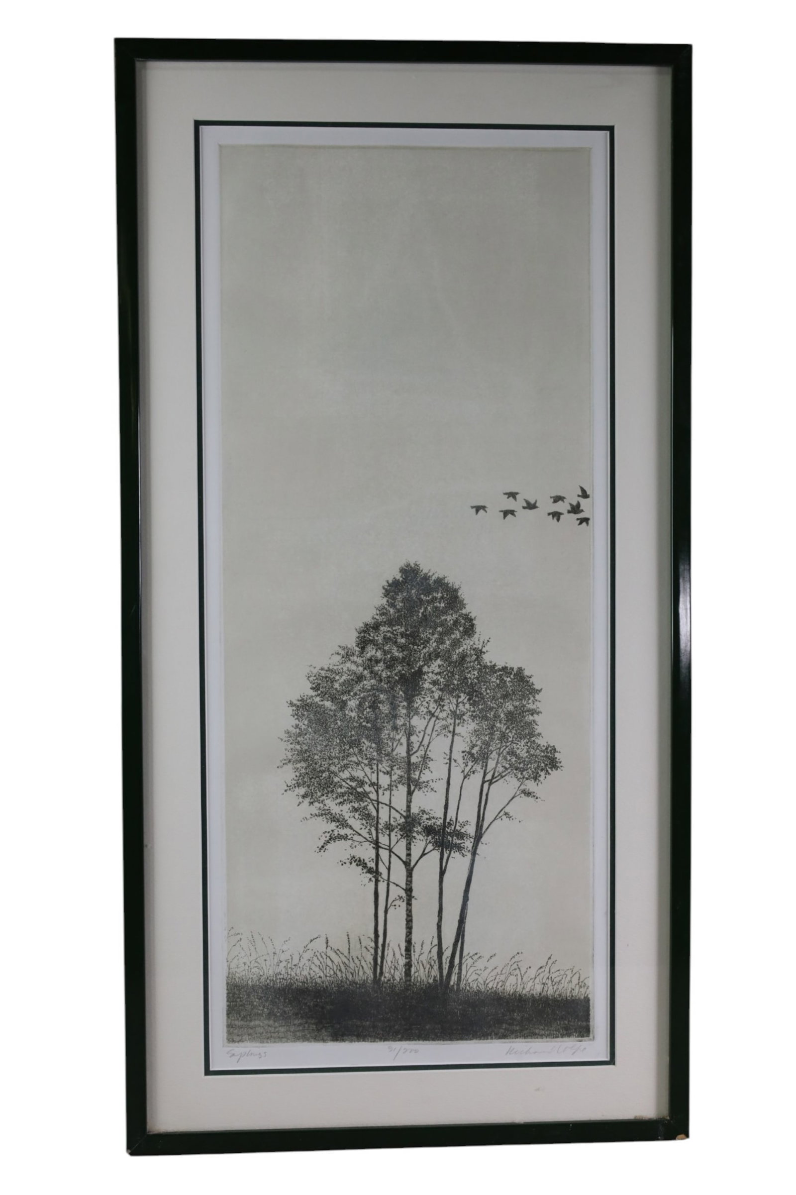 RICHARD VOLPE ETCHING (1 of 3)