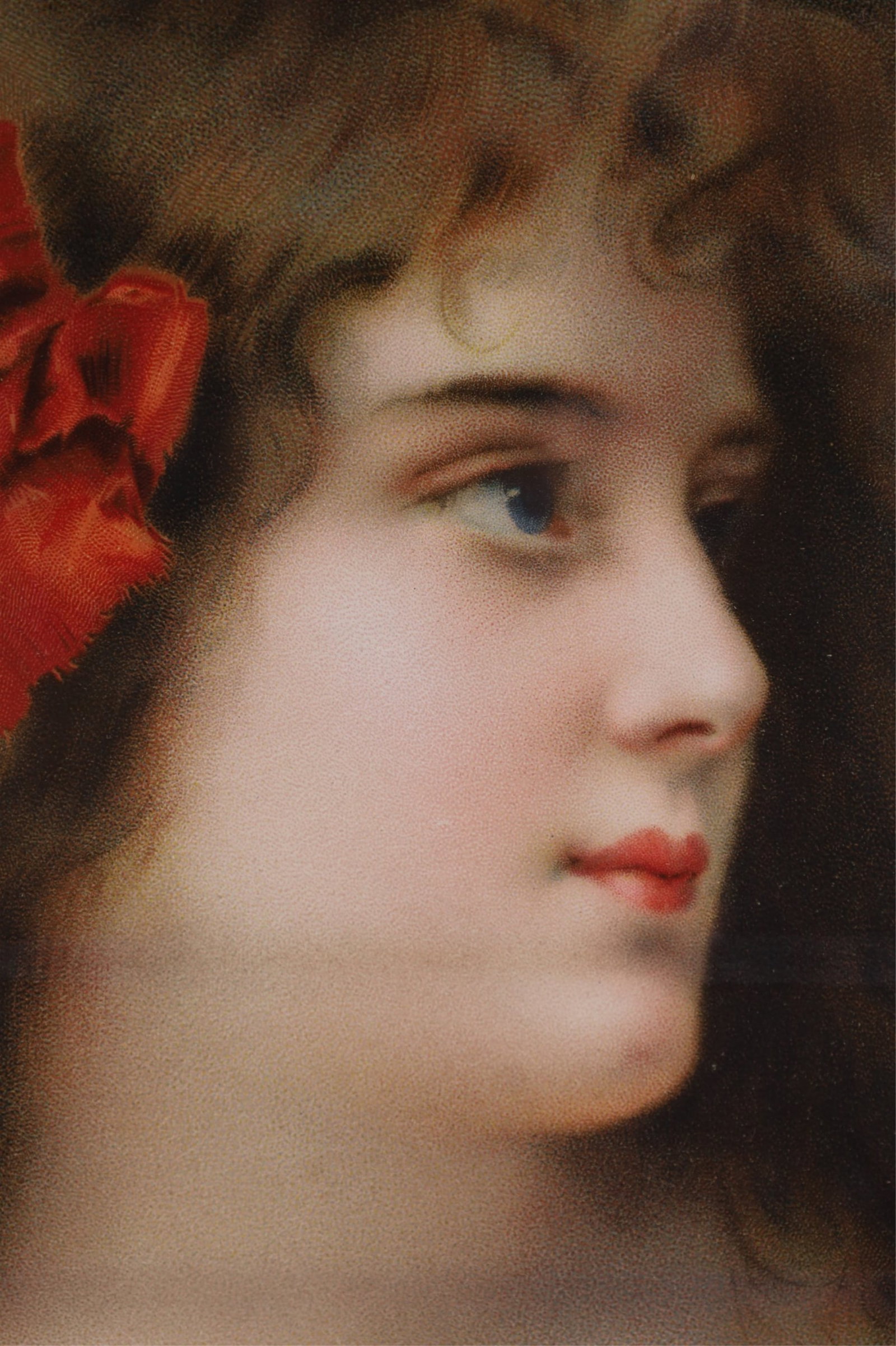 VICTORIAN PORTRAIT - 3