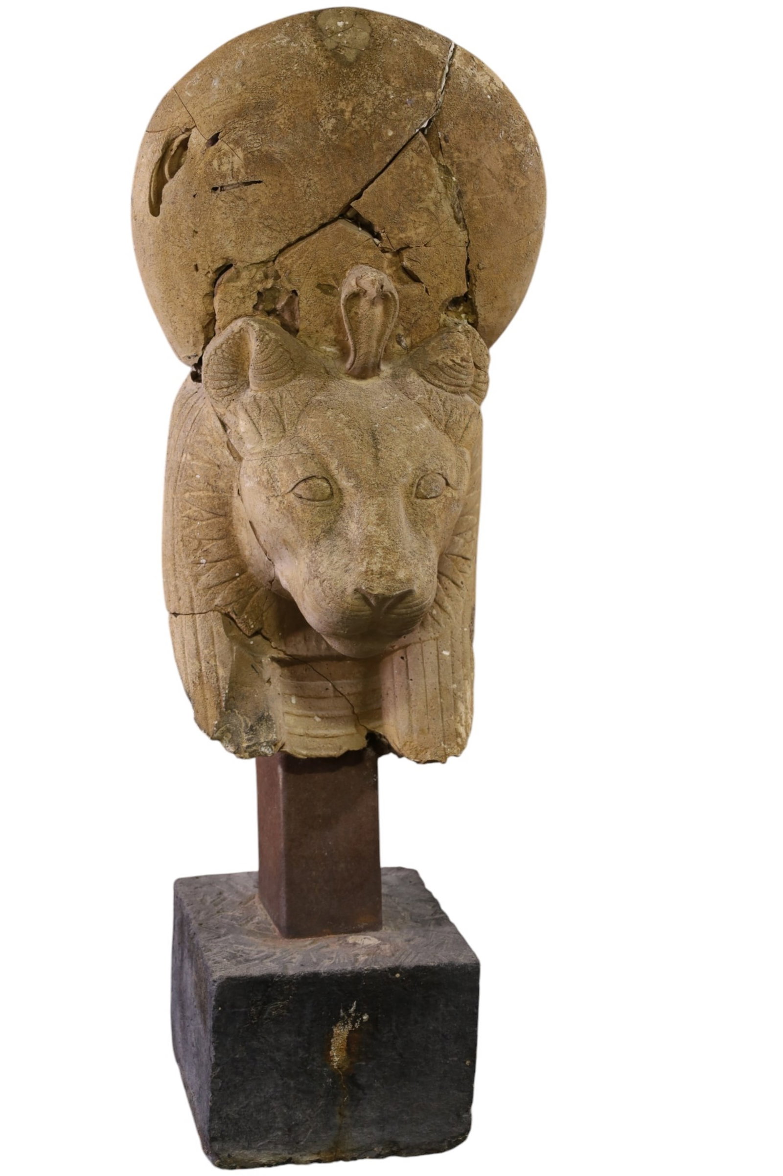 LARGE STONE LIONESS SCULPTURE: AS IS! LARGE LIONESS SCULPTURE, CARVED STONE, ON CUSTOM BASE. 41" W x 16" W. THIS ITEM EXCEEDS SIZE LIMITATIONS FOR IN HOUSE SHIPPING, MUST BE PICKED UP IN HOUSE OR SHIPPED VIA 3rd PARTY GROUND