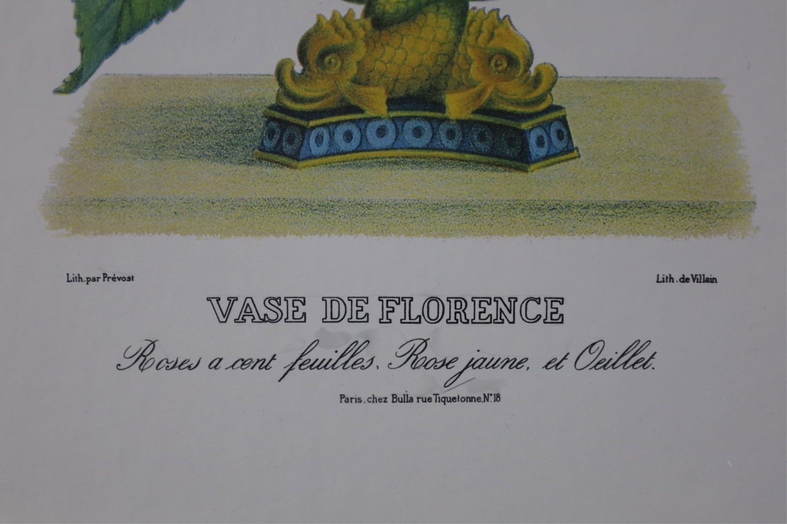 BOTANICAL LITHOGRAPH - 2