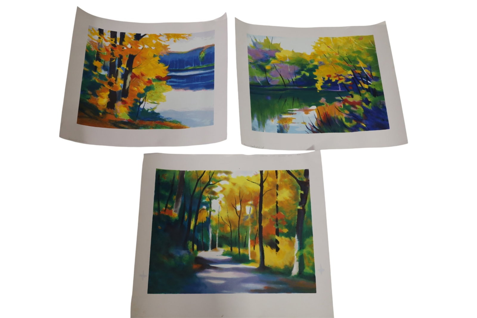 TADASHI ASOMA SCREENPRINTS: 3 UNFRAMED SCREEPRINTS, TADASHI OSOMA, SECLUDED PATH, CLOISERED INLET, & BURNISHED SENTINELS. 19" - 21" W.