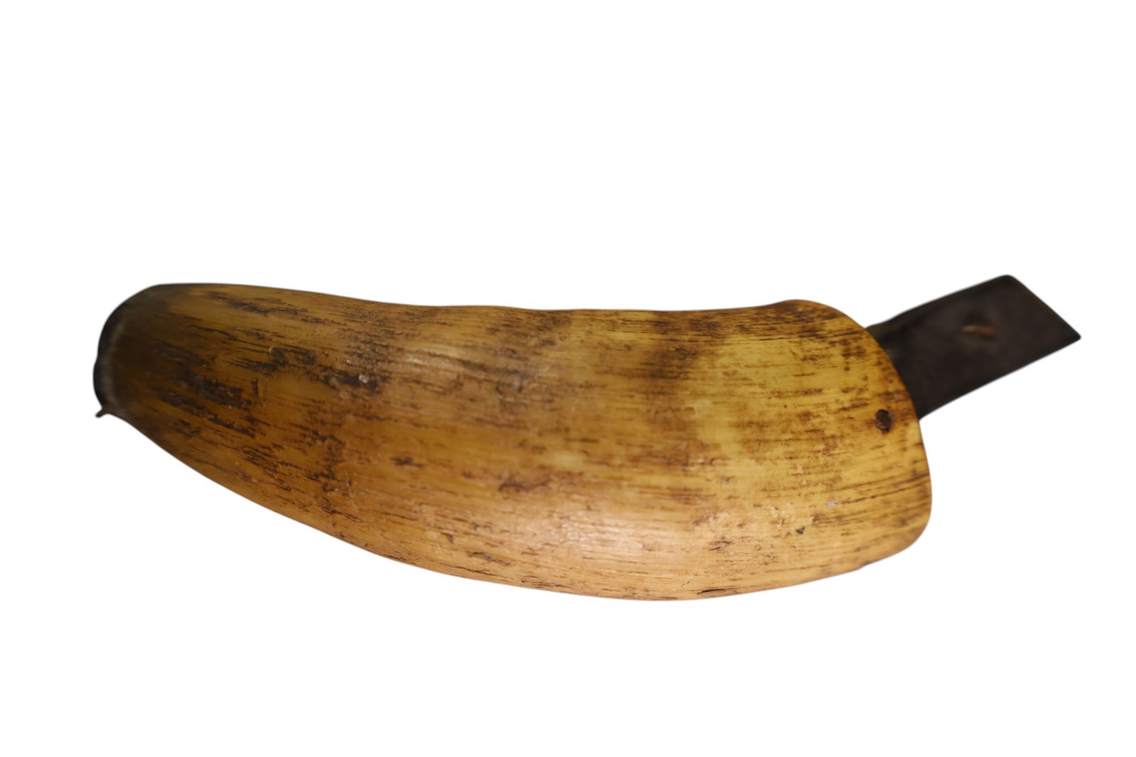 2 POWDER HORNS - 4