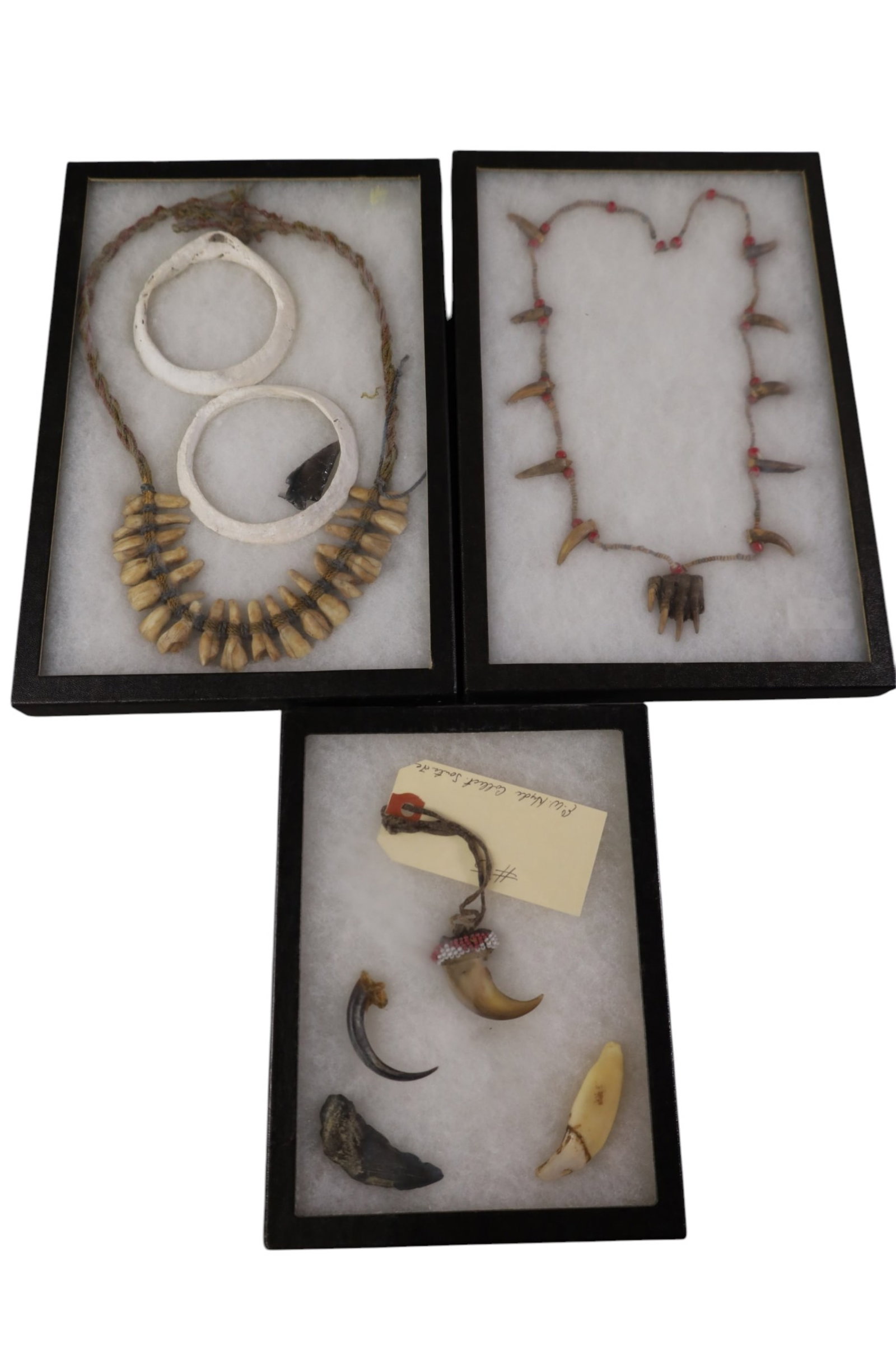 GROUPING OF NATIVE AMERICAN JEWELRY: BADGER NECKLACE, BUFFALO TOOTH NECKLACE, & CLAWS.