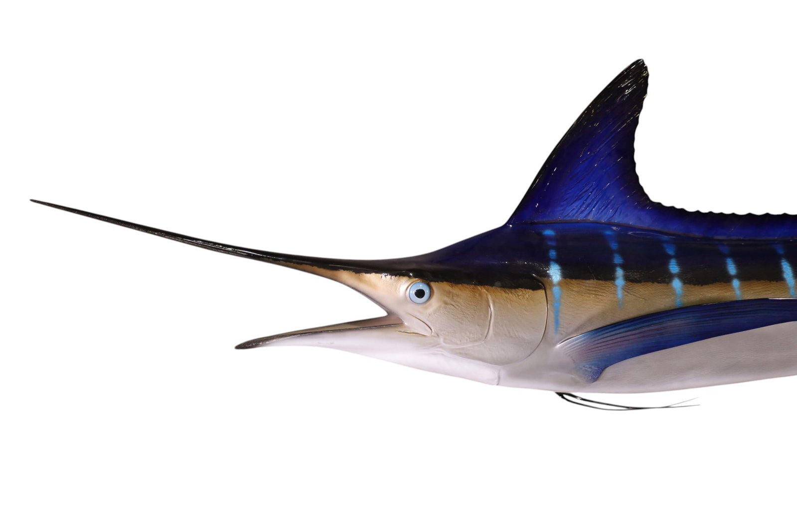 LARGE MARLIN MOUNT - 2