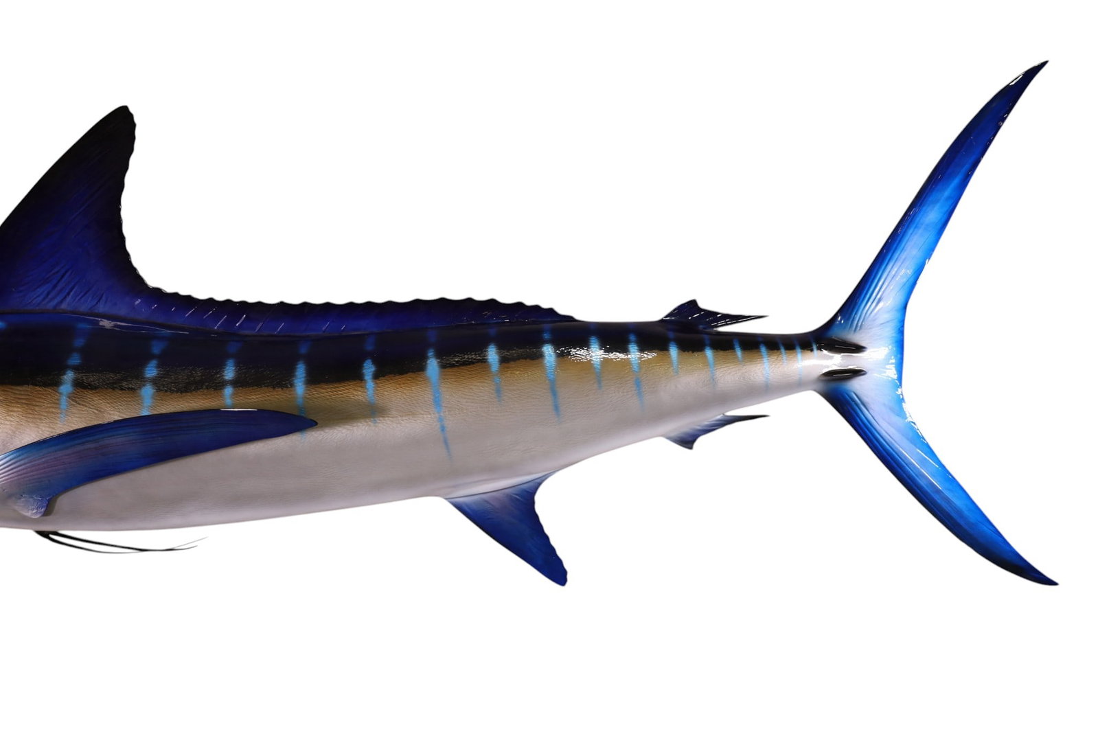 LARGE MARLIN MOUNT - 3