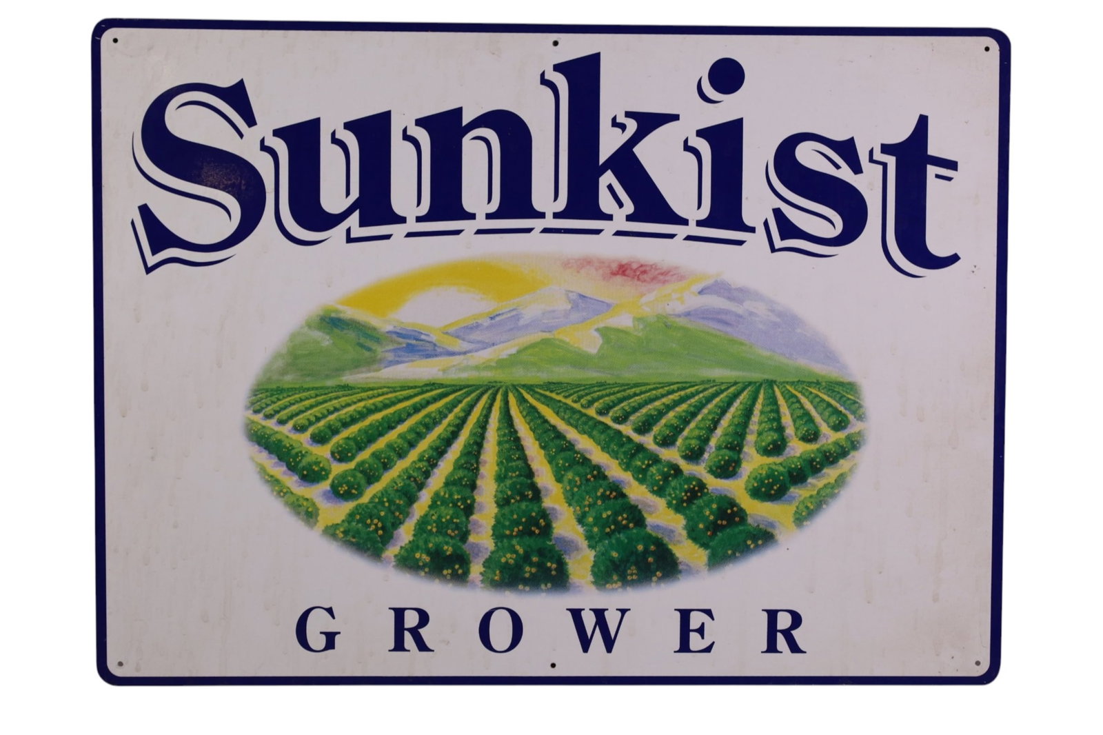 SUNKIST GROWER METAL SIGN: PAINTED METAL SUNKIST GROWER SIGN. 22" x 16"