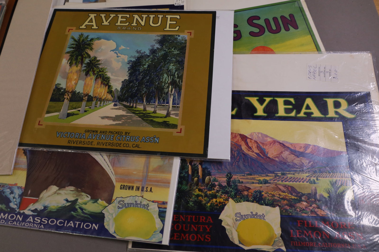 24 CITRUS CRATE LABELS - 3