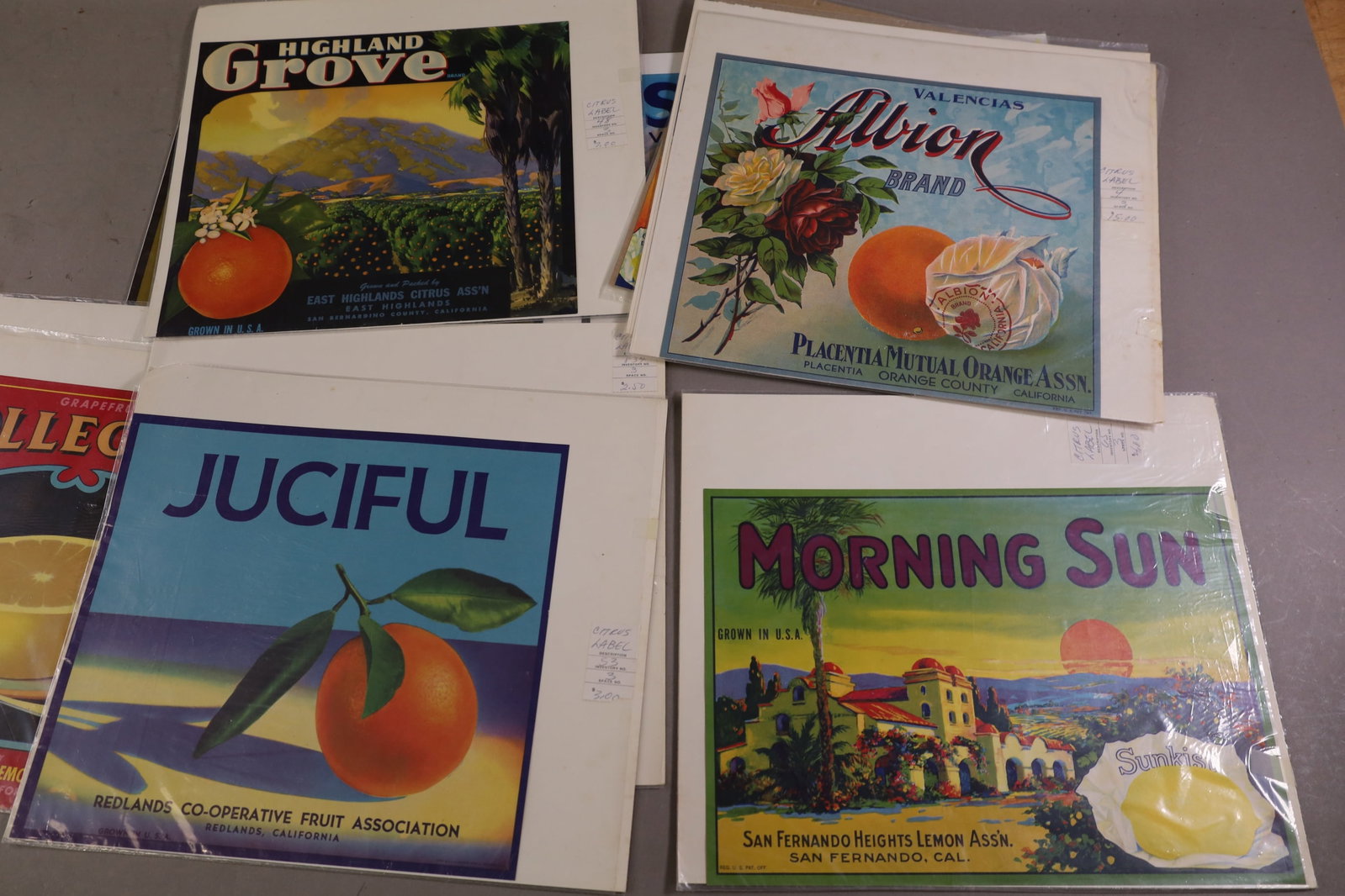 24 CITRUS CRATE LABELS - 6