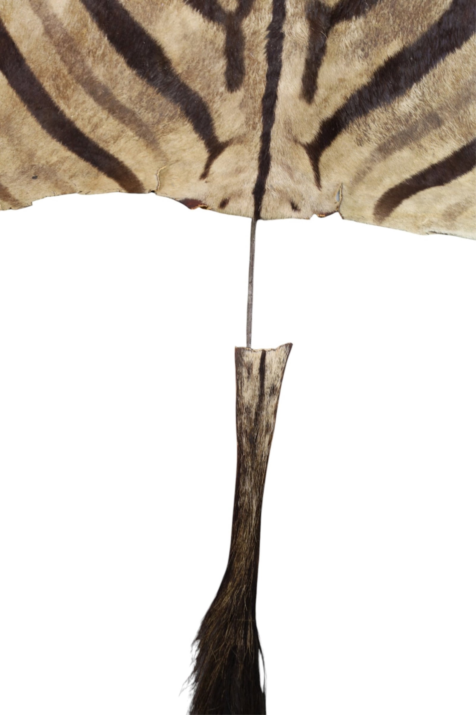 ZEBRA SKIN RUG - 2