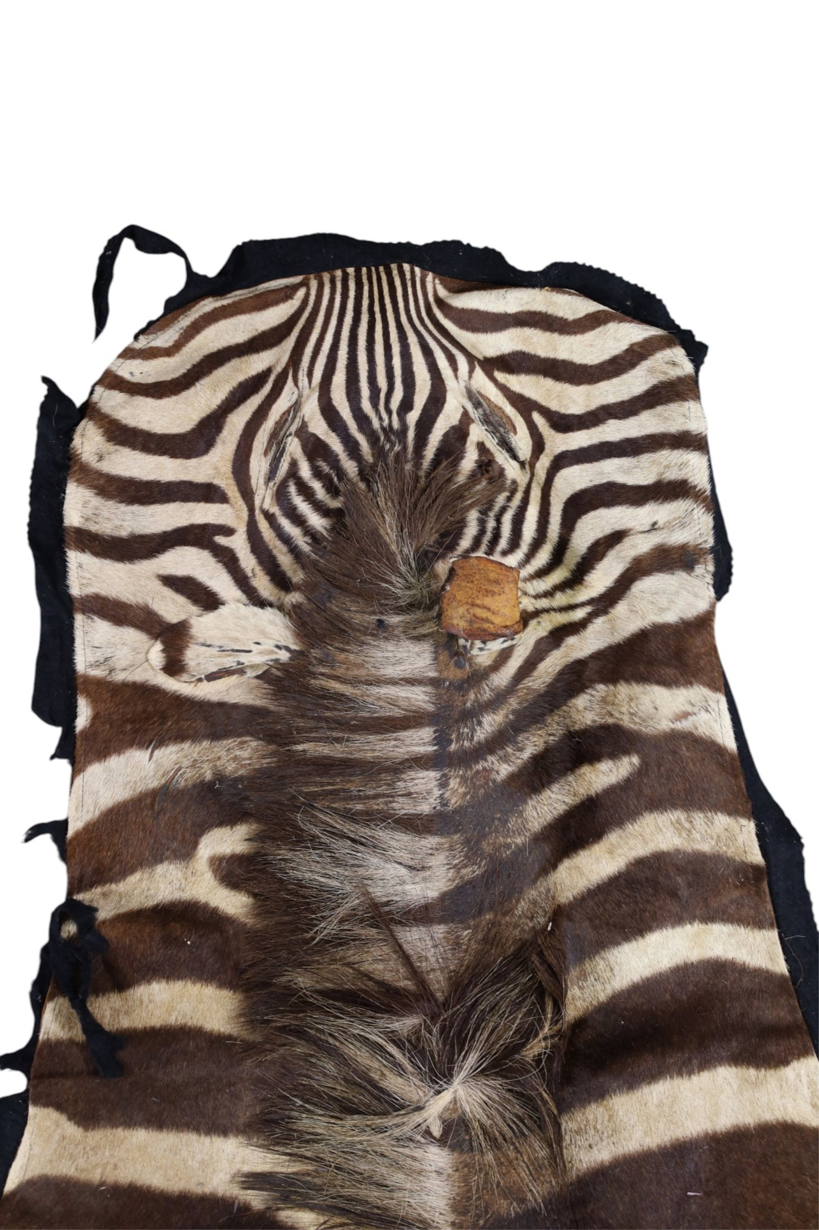 ZEBRA SKIN RUG - 5
