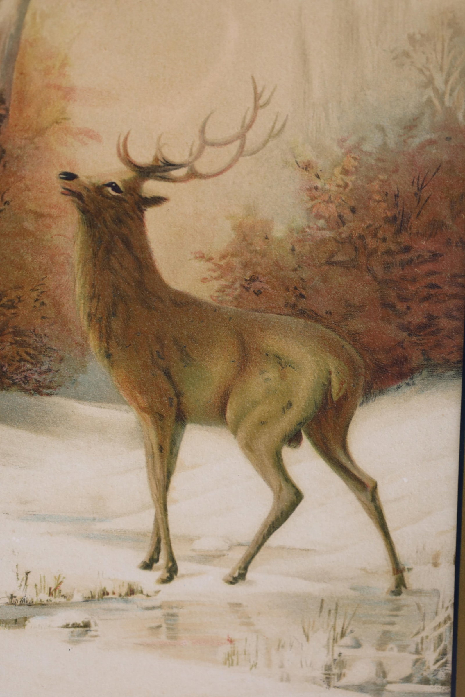 2 VICTORIAN PRINTS - 4