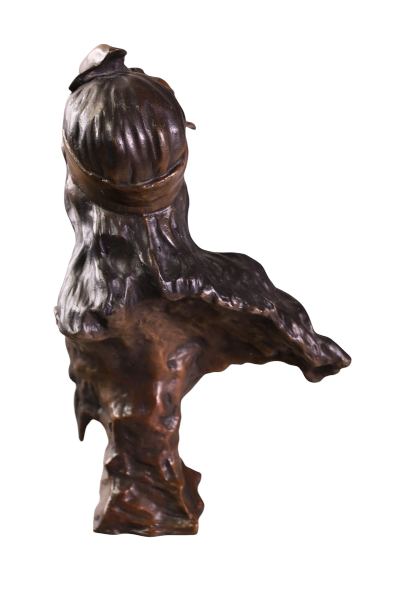 VICTORIAN STYLE BRONZE BUST - 3
