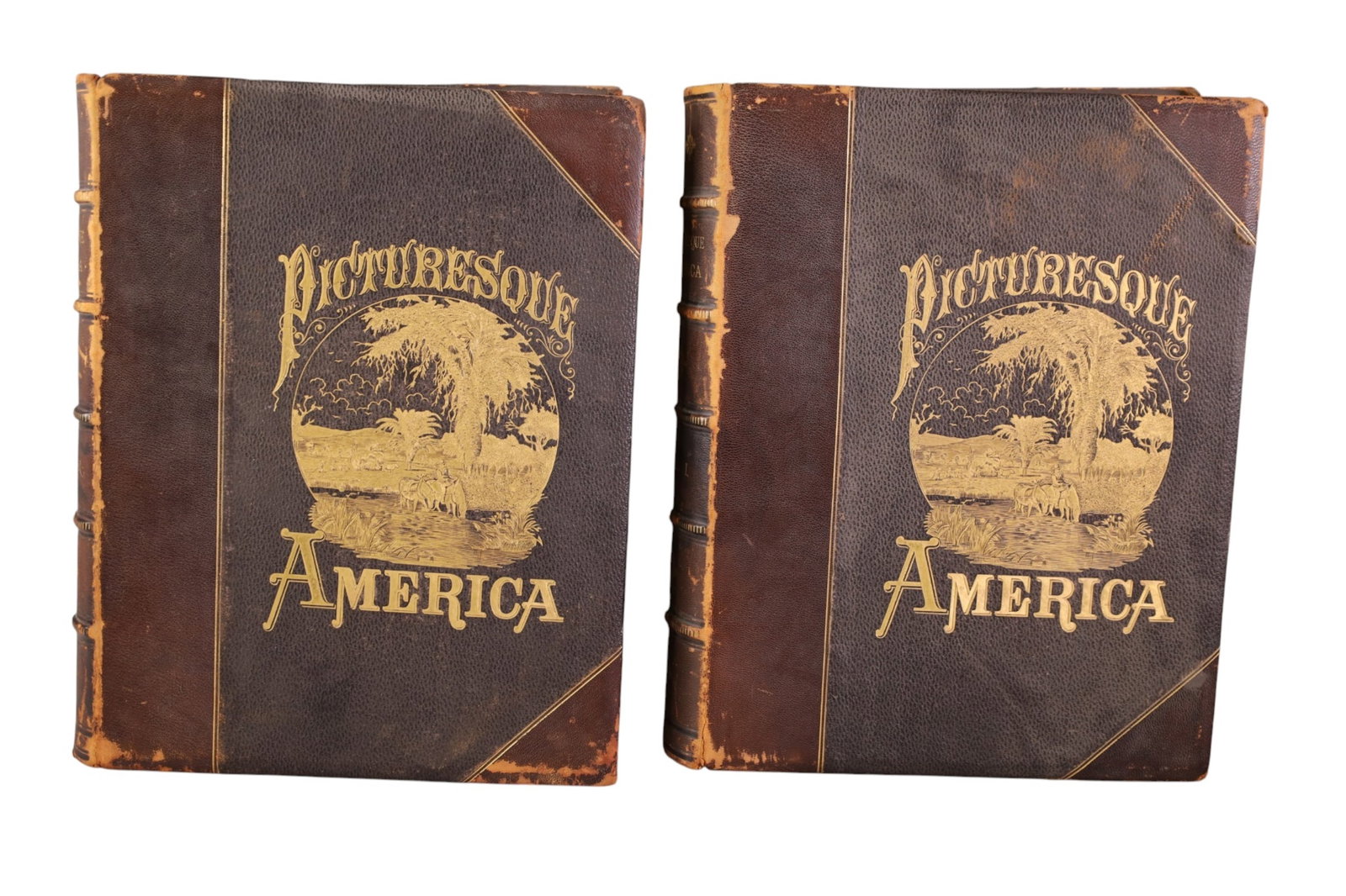 PICTURESQUE AMERICA 2 VOL SET: LARGE LEATHERBOUND BOOKS, COPYRIGHT, 1872 BY D. APPLETON. PICTURESQUE AMERICA. WEAR TO BINDING.