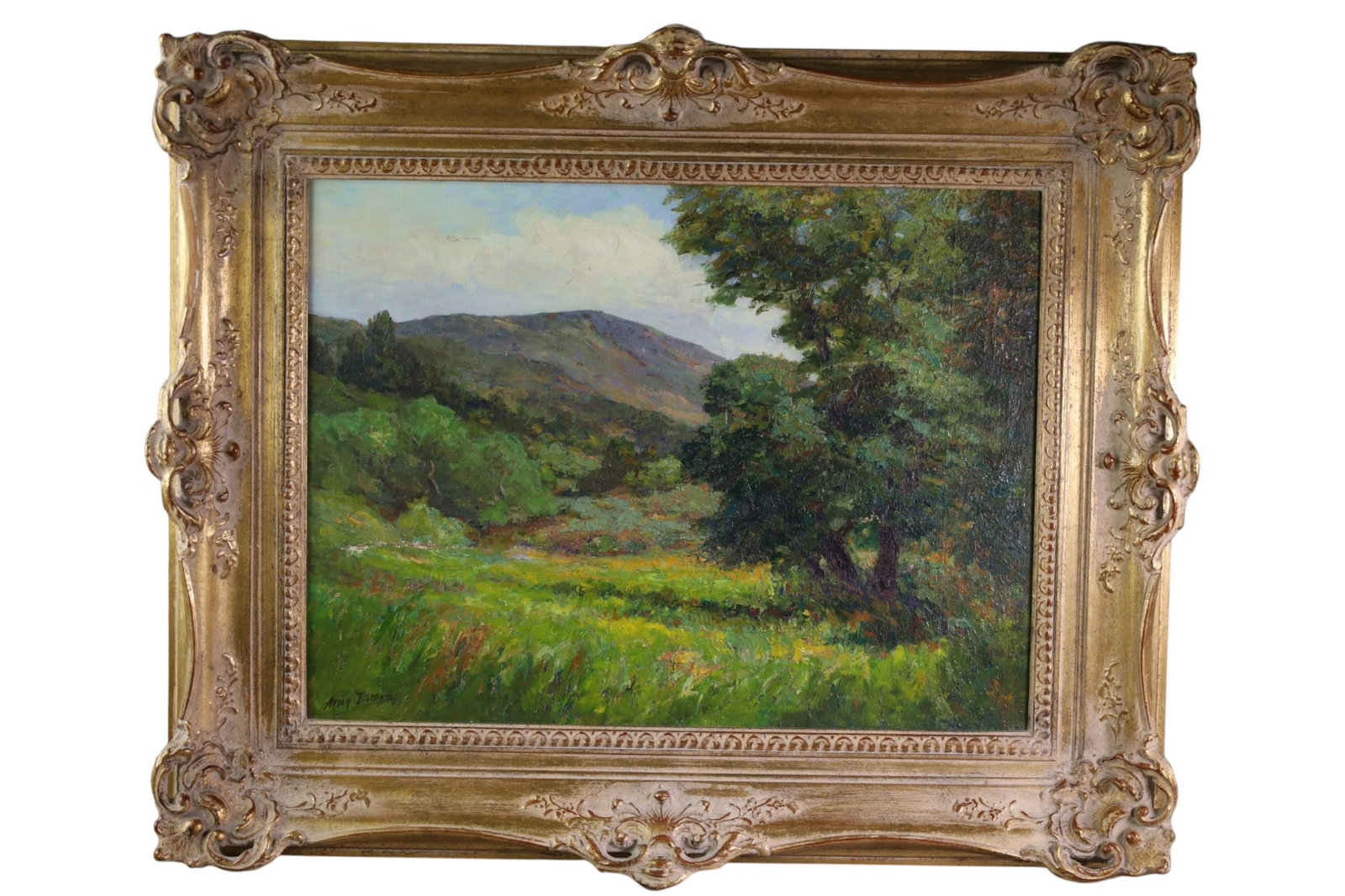 ARION PUTNAM OIL PAINTING: OIL ON CANVAS, SIGNED LOWER LEFT, LANDSCAPE OIL PAINTING. TEAR IN CENTER AND IN SKY. SOUTHERN CALIFORNIA ART EXHIBITION SAN DIEGO 1915 LABEL ON VERSO. 24" x 18 IMAGE SIZE / 32" x 26" IN FRAME