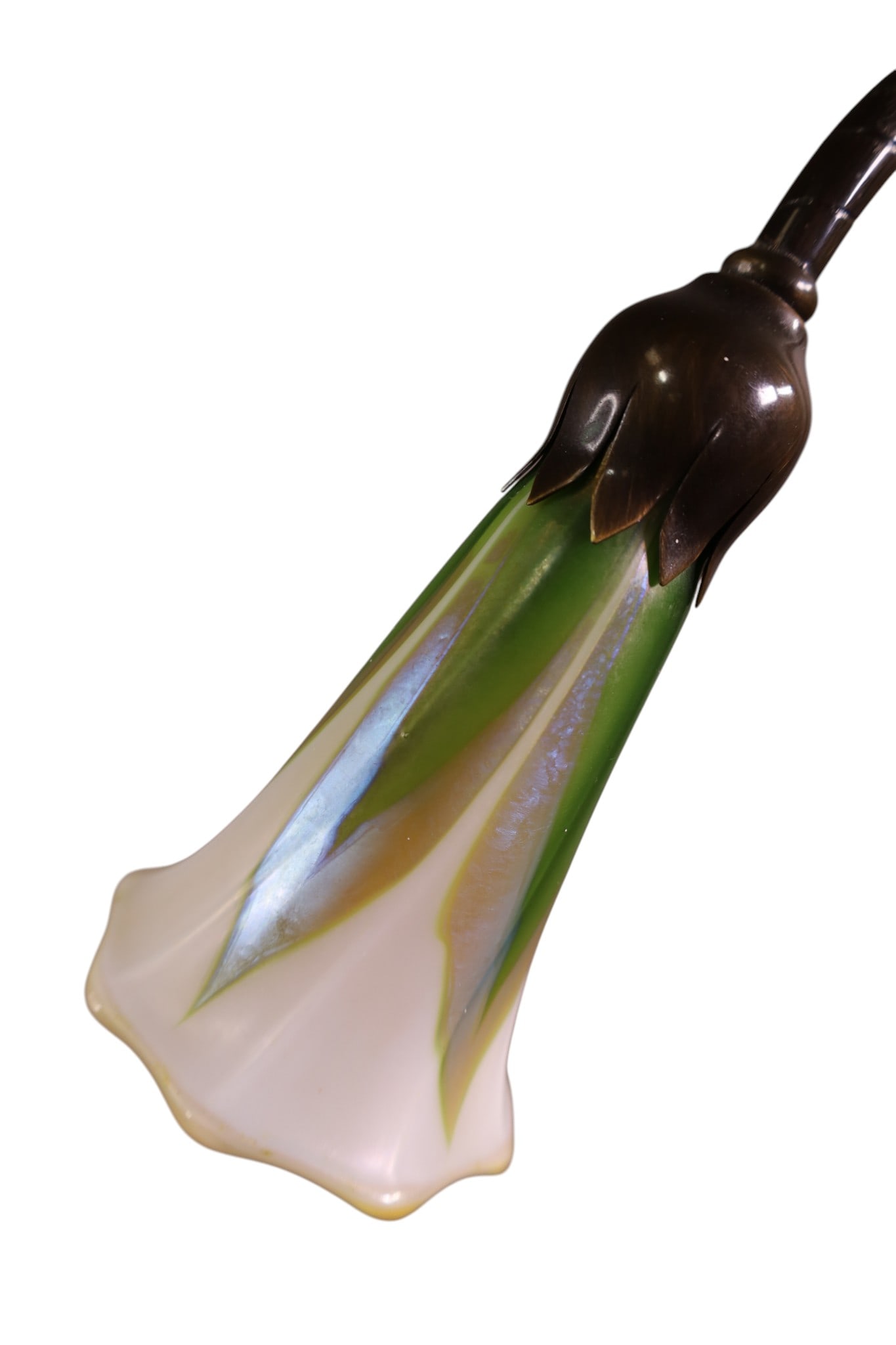 BRASS GOOSE NECK LAMP - 2