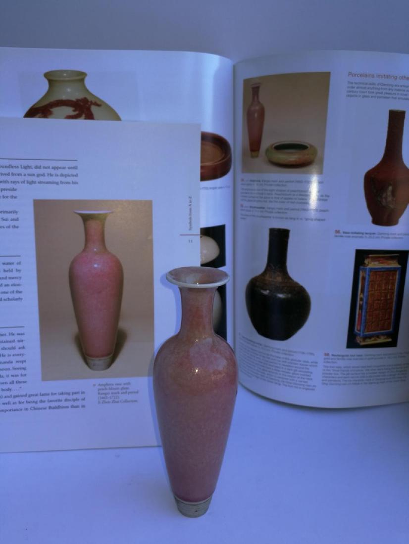 Chinese Porcelain Willow Bottle Da Qing Kangxi Nian Zhi (1 of 10)