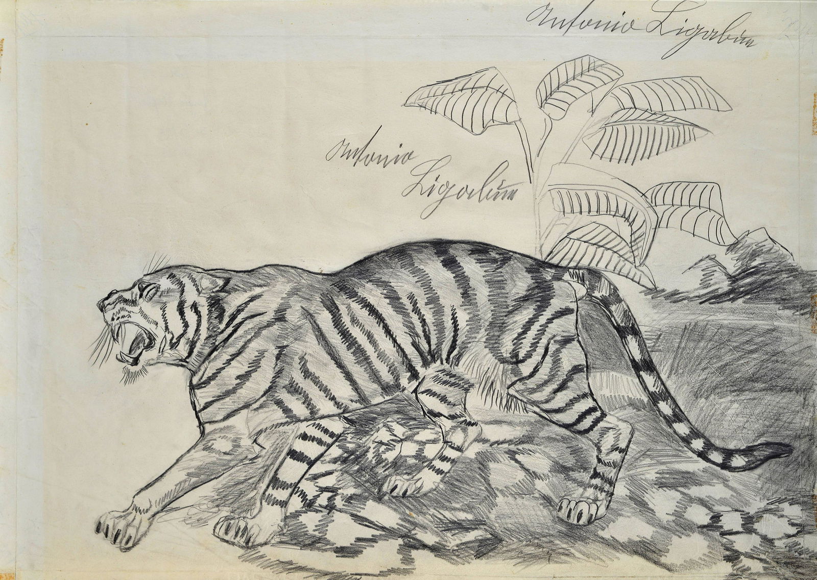 Pananti Casa D Aste S R L Upcoming Auctions 19 Past Catalogs