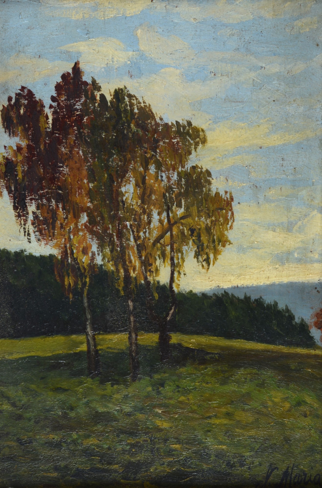 Maria Nelli (XX sec. - ) - Paesaggio (1 of 3)