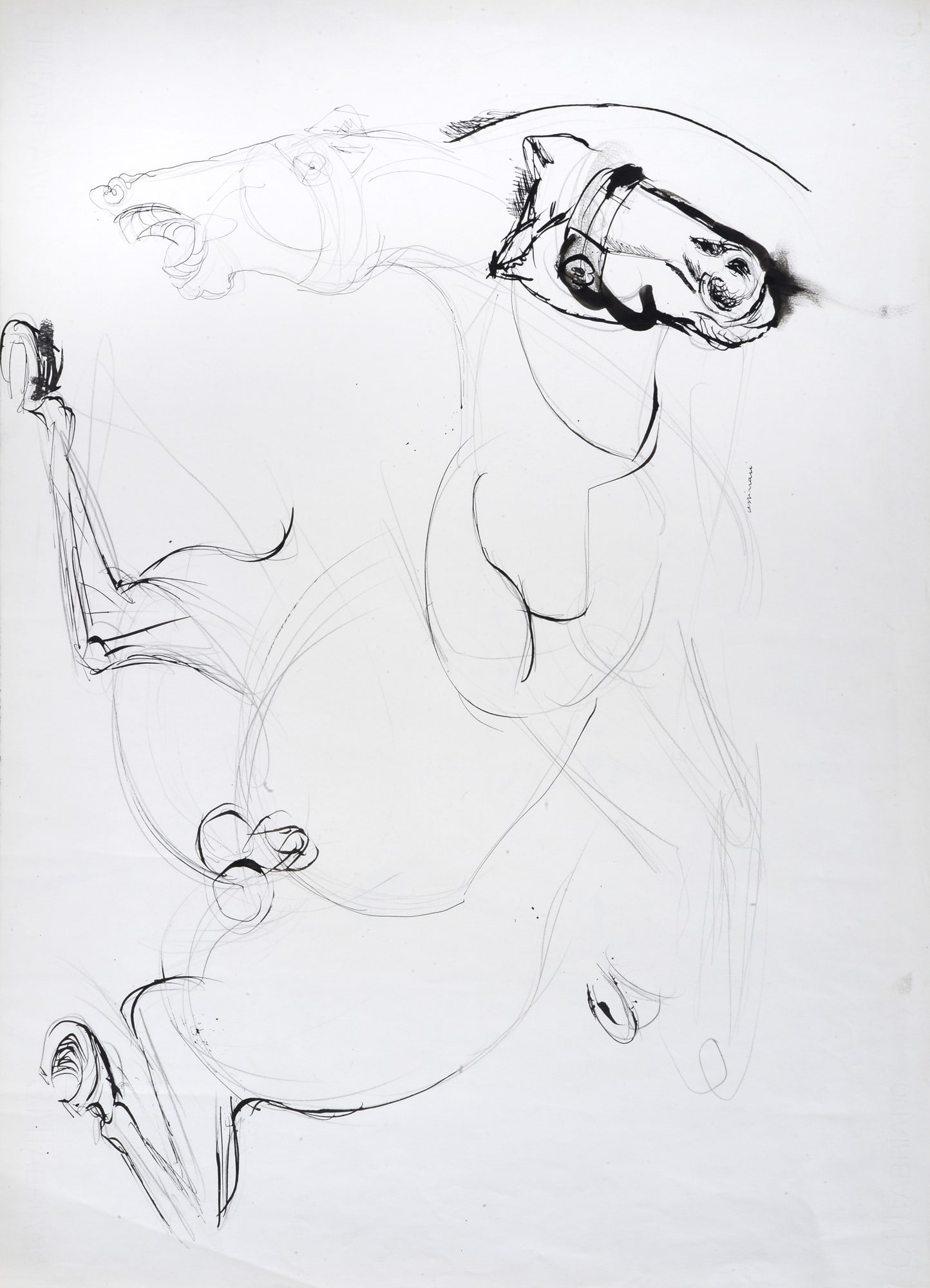 Bruno Cassinari (Piacenza, 1912 - Milano, 1992) ? Cavalli: Inchiostro su carta, cm. 48x66. Firma in basso a destra.