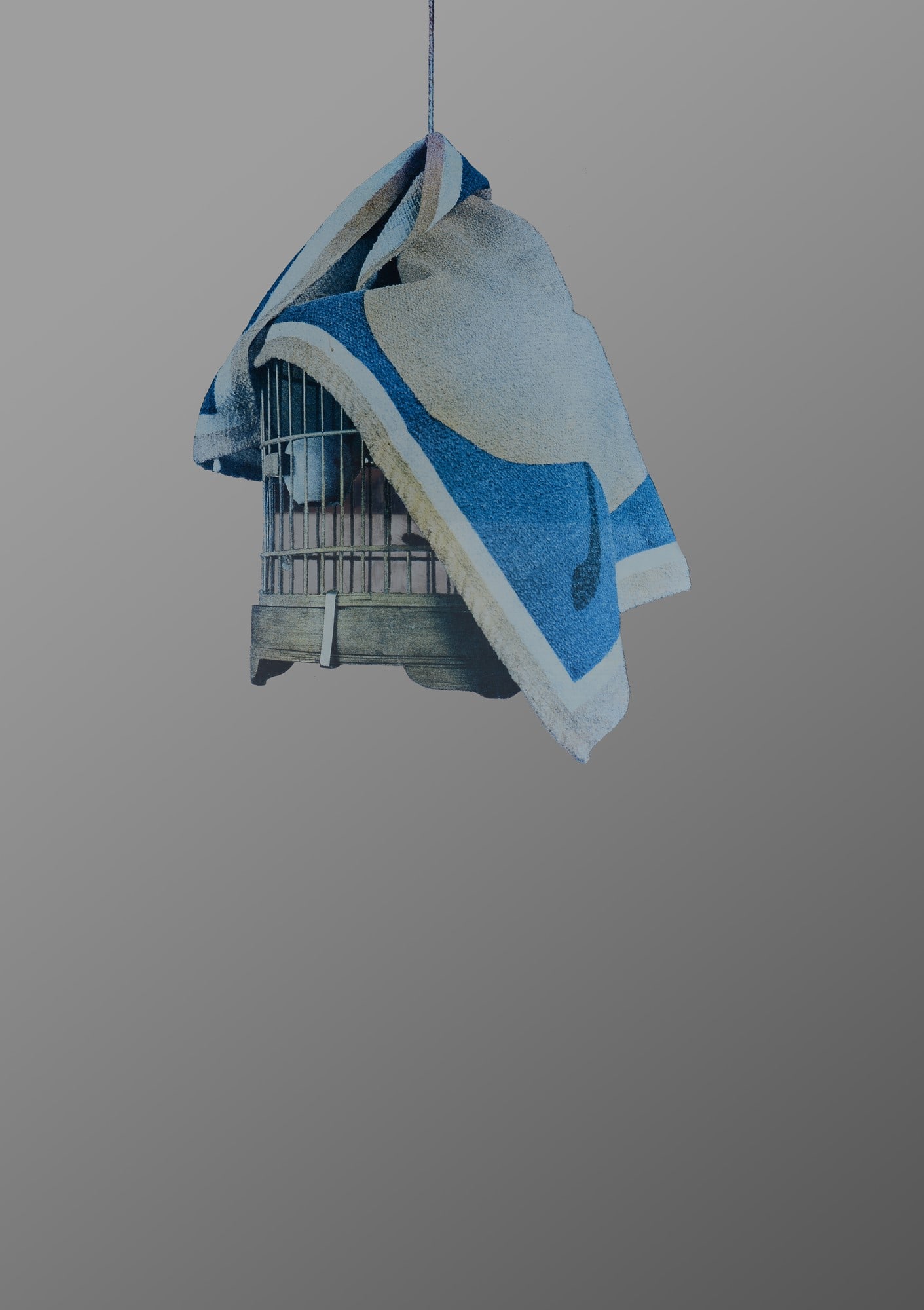 Michelangelo Pistoletto (Biella, 1933) - Gabbia (1 of 2)