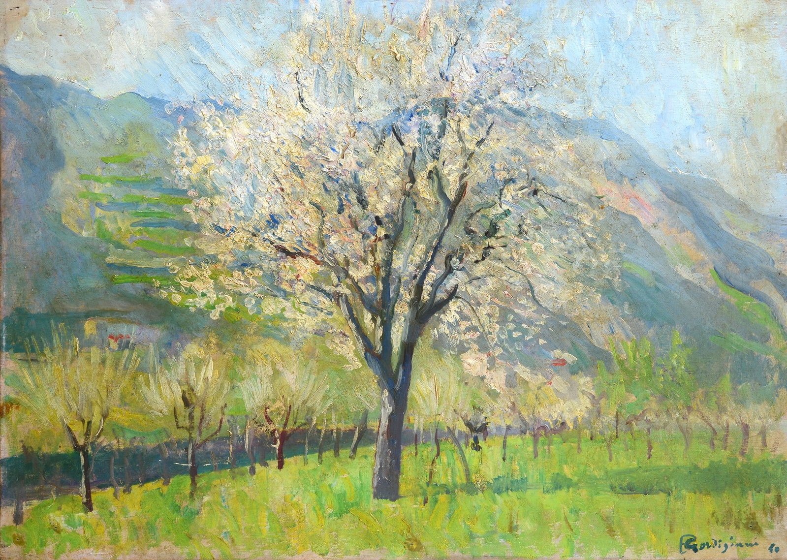 Eduardo Gordigiani (Firenze, 1866 - Popolano di Marradi, 1961) - Paesaggio alberato , 1940 (1 of 3)