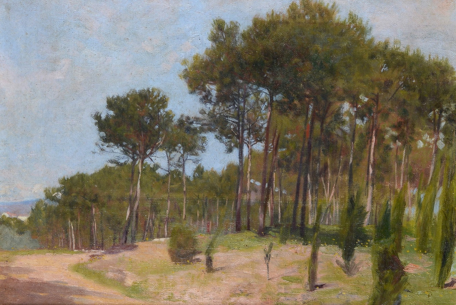Ruggero Focardi (Firenze, 1862 - Quercianella, 1934) - Pineta: Olio su tela riportata su tavola, cm. 23,5x31,5. Firma in basso a destra. Sul verso: firma.?