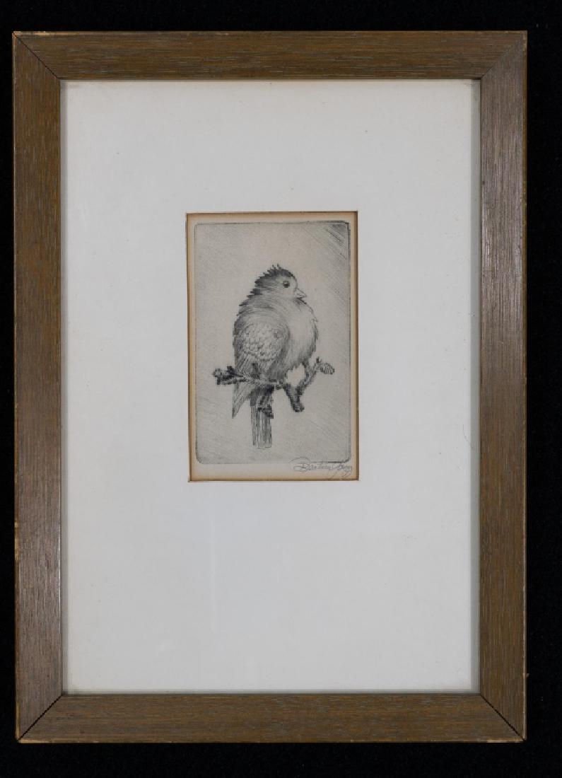 Small Etching Of A Bird (1 of 2)
