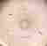 item-106135105=4