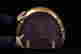 item-58535548=2