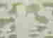item-87026387=2