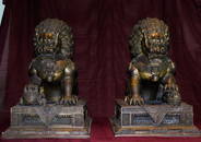 Pair - Large Antique Chinese Bronze Guardian Lion