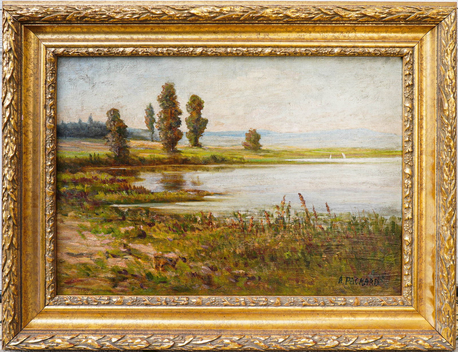 Anne Packard (Born 1933) American: Anne Packard (Born 1933). Landscape. Oil / Canvas. Signed lower right. Sight: 14" x 20" Overall: 20" x 26". Good overall condition. Tri-State area in house truck delivery available. In house shipping