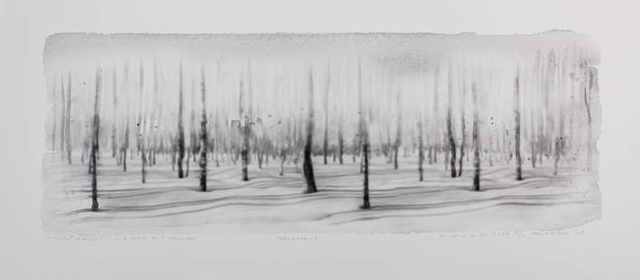 Hans op de Beeck (Turnhout 1969): Possible Panoramas - A Series of 5 Landscapes (5x)Each print signed, dated 2007 and numbered 11/25 (an edition of 25 + 5 A.P.) lower right. Each titled lower left and annotated "Panorama" 1-5 lower ce