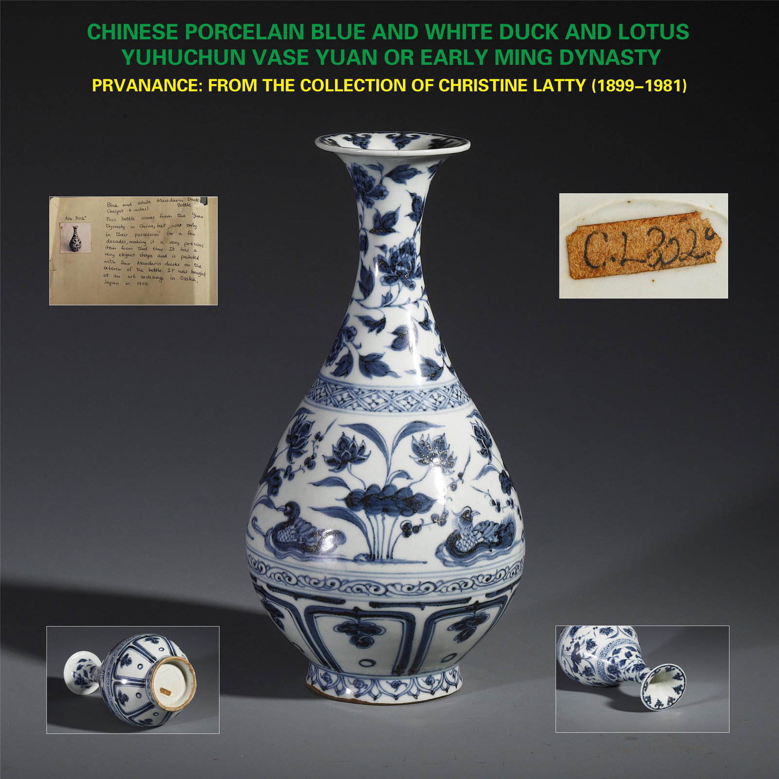 CHINESE PORCELAIN BLUE AND WHITE DUCK AND LOTUS (1 of 12)