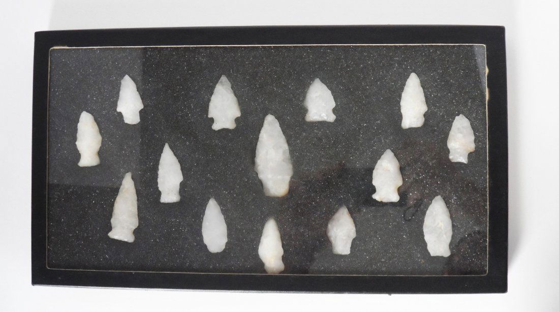 Collection Arrowheads Riker Case (1 of 1)
