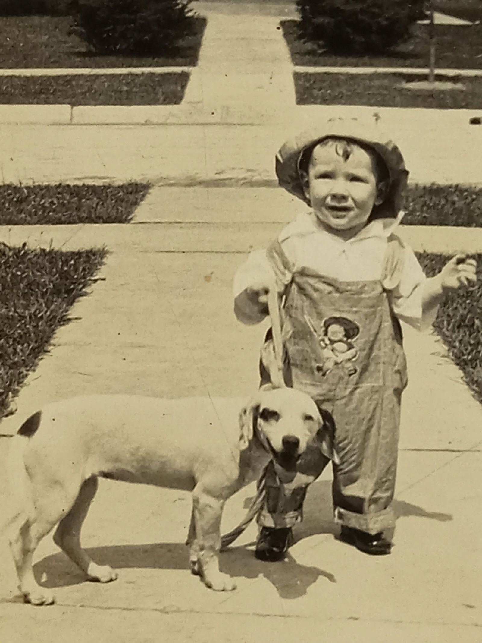 Photo Boy and his dog 1930s: B&W Photo Boy and his dog 1930s.3 1/2 x 4 1/2