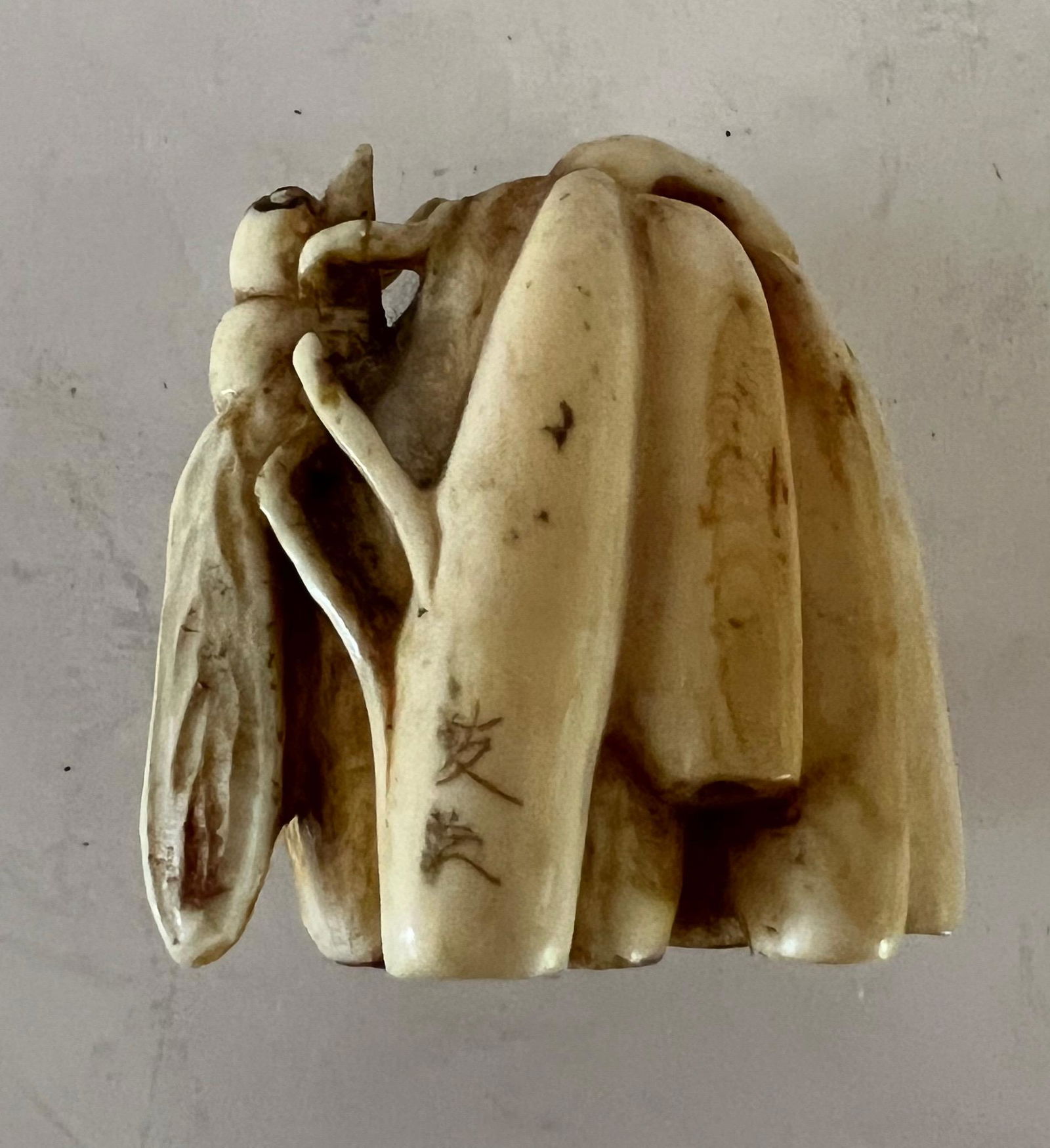 Antique Netsuke of Wasp (1 of 3)