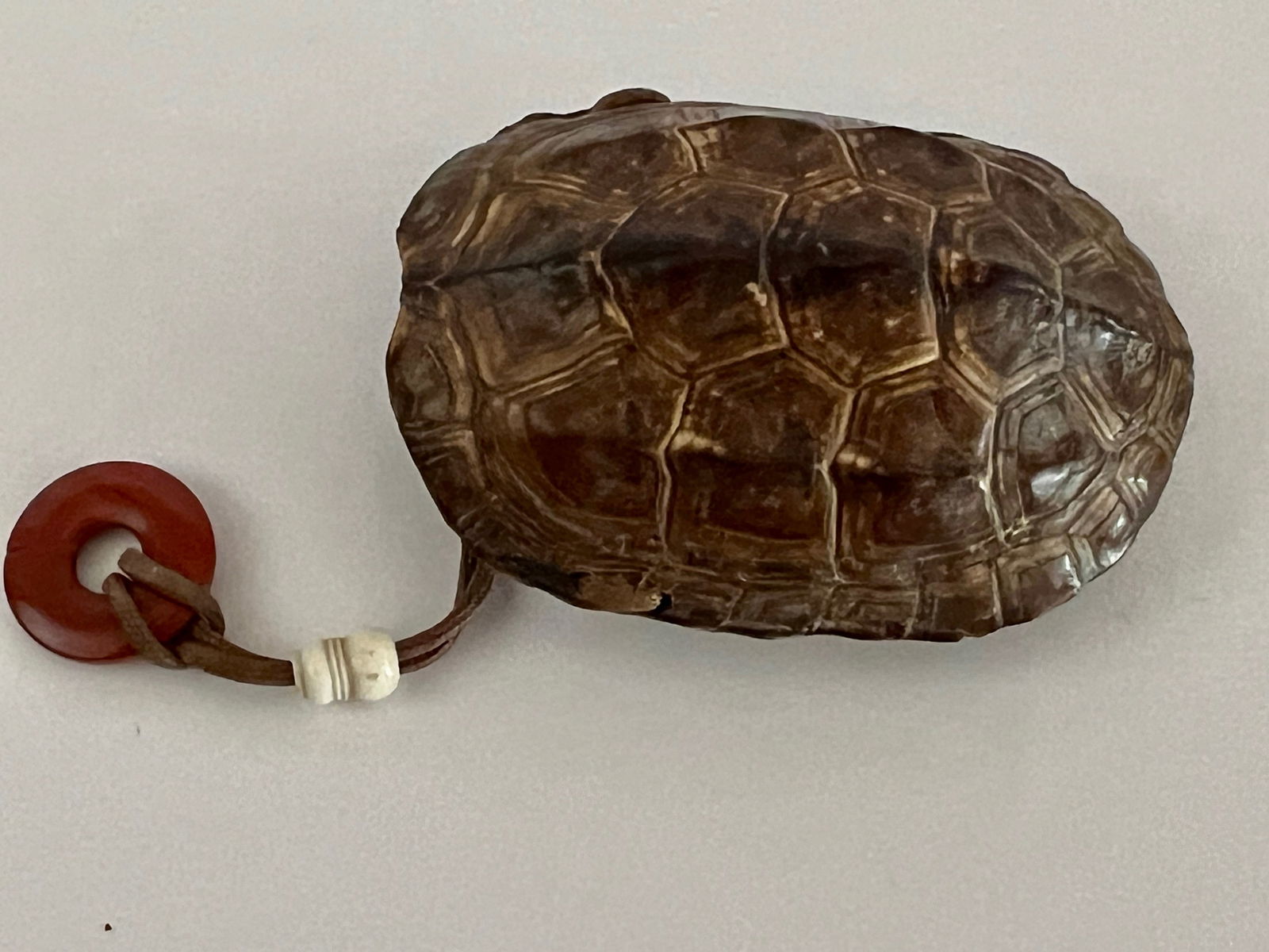 Turtle Inro, 19th Century (1 of 5)