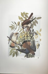 Bernard Loates Audubon
