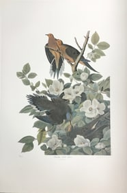 Bernard Loates Audubon