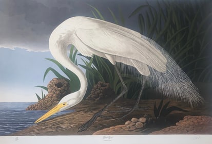Bernard Loates Audubon Great Egret