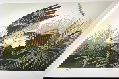 Bernard Loates Audubon, Red-Shouldered Hawk: A limited edition M. Bernard Loates lithograph after John James Audubon (1785-1851) work Red-Shouldered Hawk. This work depicts a Green Heroonn in a wetland scene. It numbered and signed by hand and p