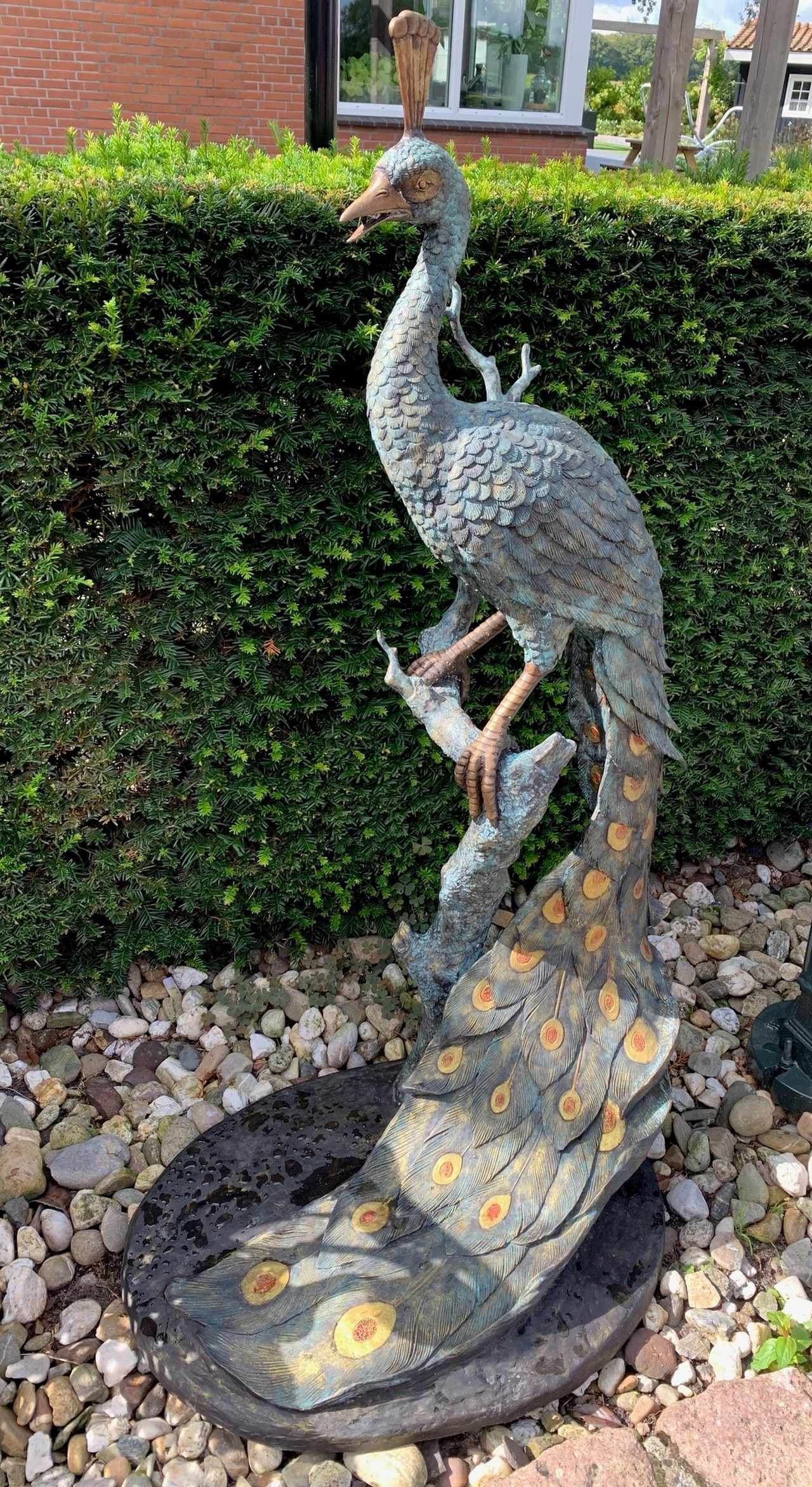 Bronze statue, Peacock - 2