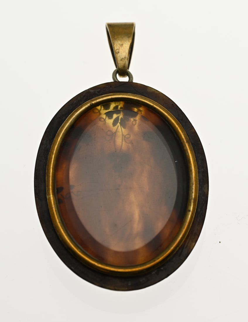 Medallion with silver and turtle - 2