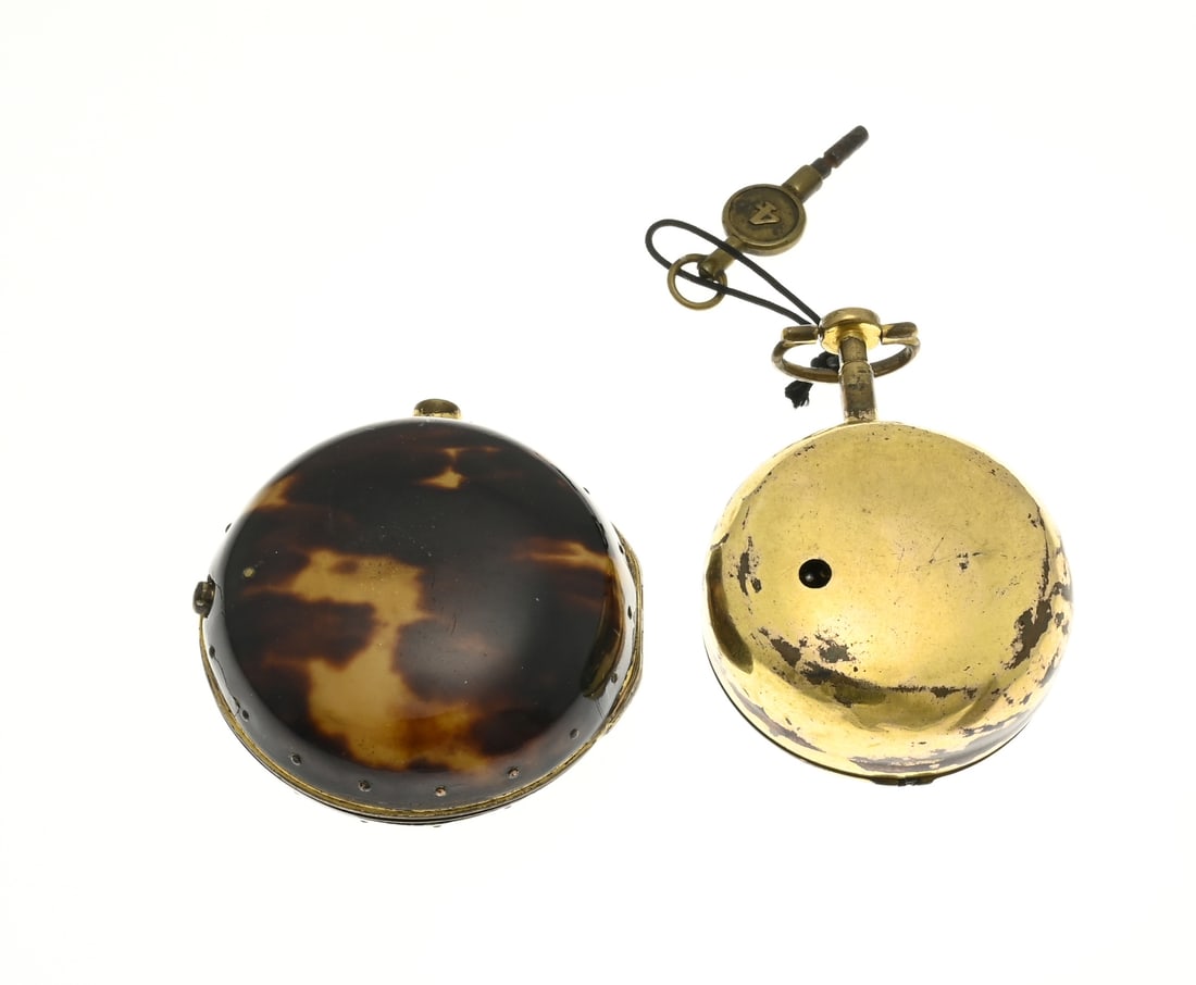 Pocket watch turtle - 2