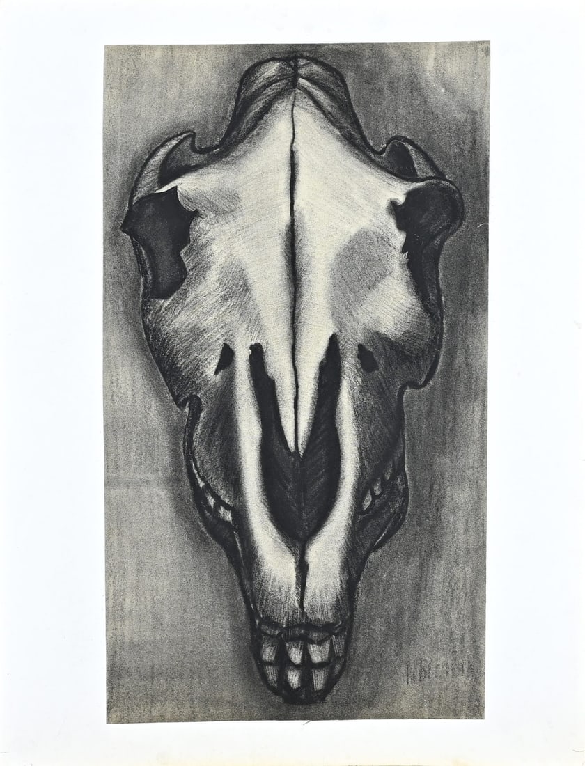 Klaas Bernink, Study of horse skull: Klaas Bernink. 1913 - 1996 Glanerbrug. Study horse skull. Charcoal on paper. Dimensions: H 56 x W 32 cm. In good condition.