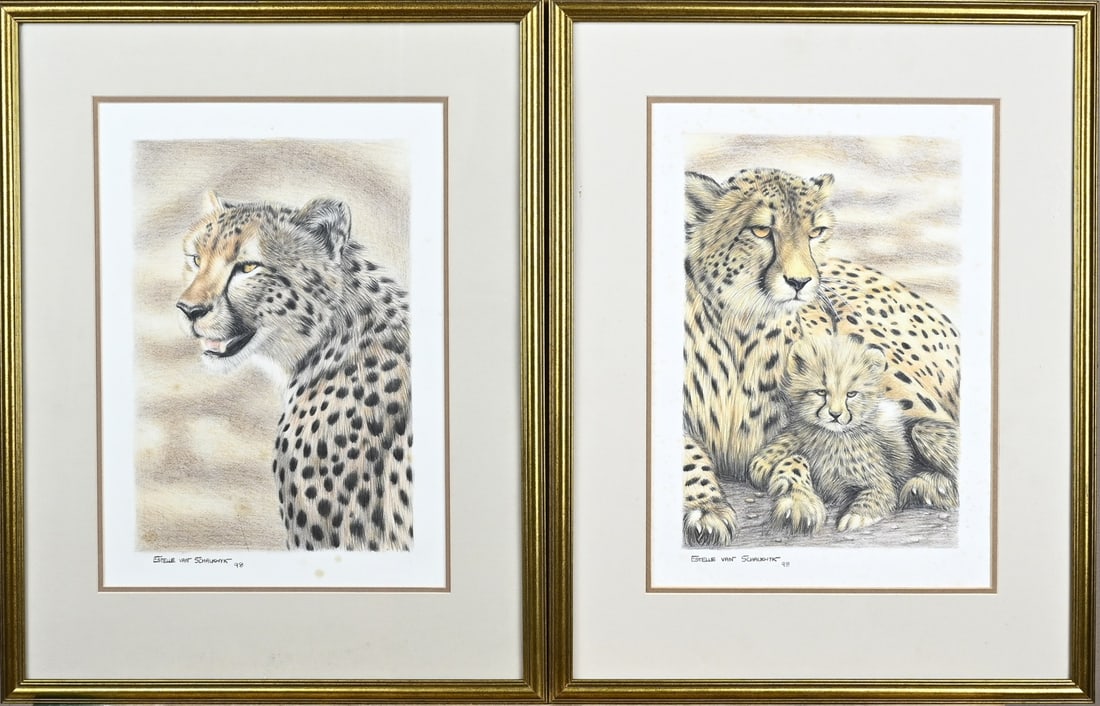 2x Drawing Estelle van Schalkwijk: Estelle van Schalkwijk. Two drawings. '98. South Africa. 2x Cheetah. Drawing on paper. Dimensions: H 40 x W 29 cm. In good condition.