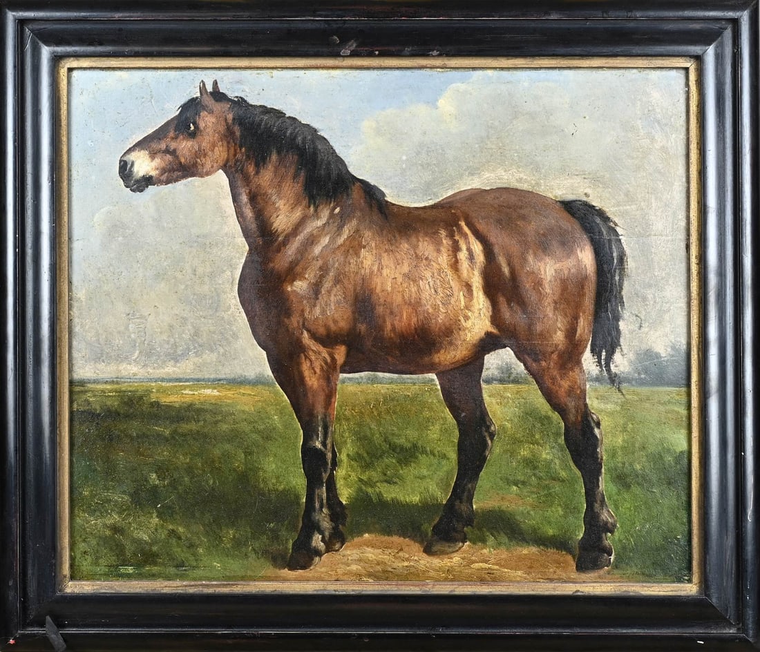 Unsigned, Horse: Unsigned. 18th - 19th Century. Portrait of a horse. Marouflé on 18th century panel. Restorations. Dimensions: H 44 x W 54 cm. In fair condition.