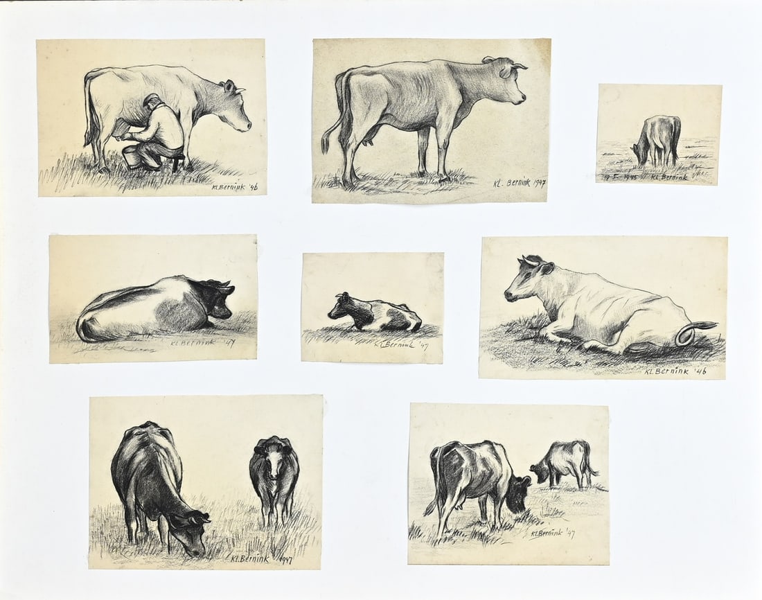 Klaas Bernink, Cow study: Kiaas Bernink. 1913 - 1996 Glanerbrug. 8x Cow study, 1950s. Charcoal on paper. Size: 12 - 20 cm. In good condition.
